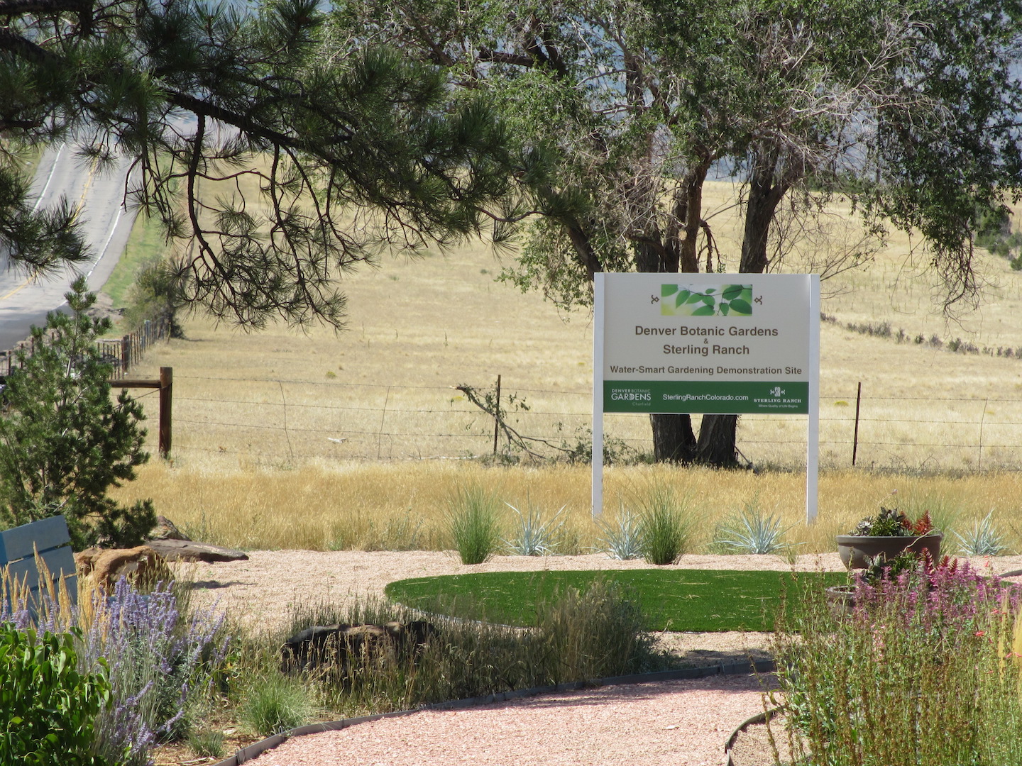 Sterling Ranch Demonstration Garden, August 2012 (Photograph by D. Saitta)
